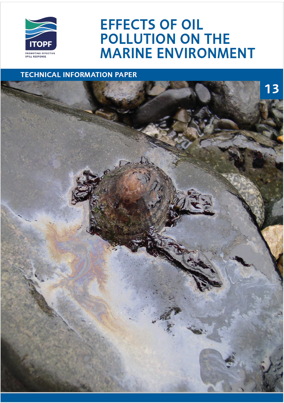 ITOPF-13-Effects-of-Oil-Pollution-on-the-Marine-Environment.png